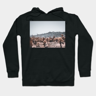 Photo of Cholla Cactus at Joshua Tree National Park V2 Hoodie